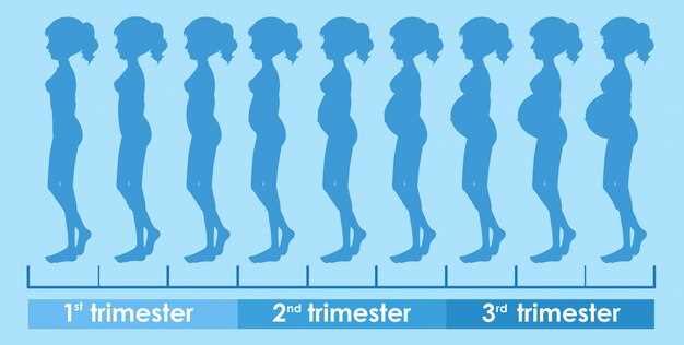 Значение длины тела матки