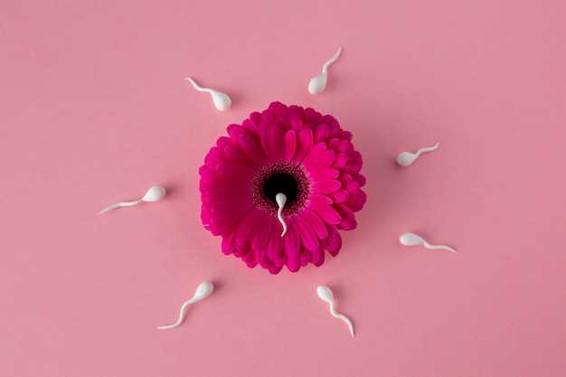 Расположение вагины у женщин: анатомия и функция