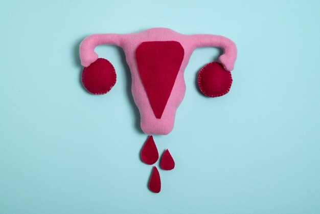 Структура вагины
