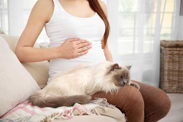 Вероятность заражения от кошки при беременности