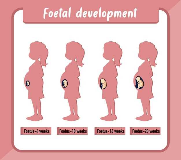 Сколько акушерских месяцев длится беременность