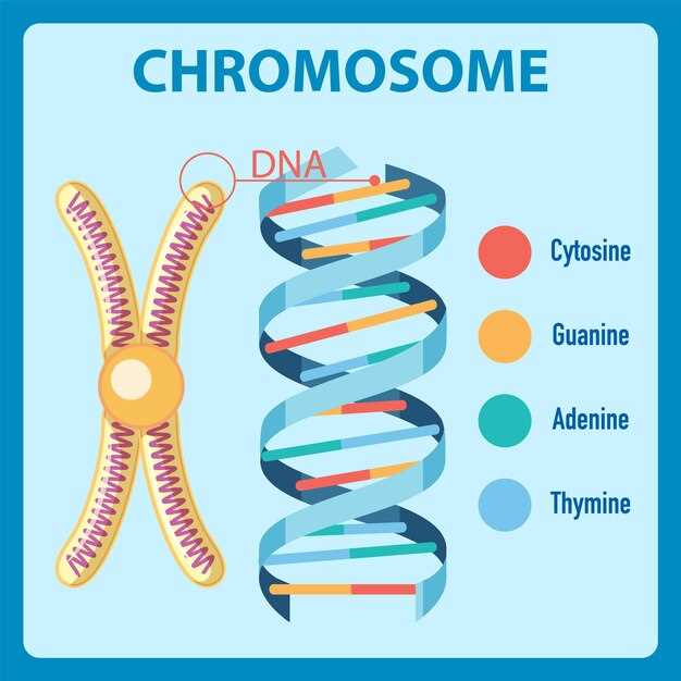Определение количества хромосом