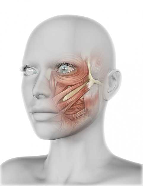 Расположение тройничного нерва на лице